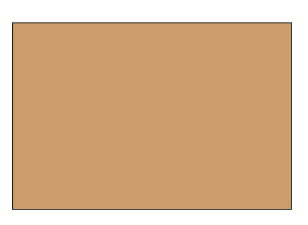 LABEL, 8.5 X 11&quot; BLOCK OUT,  100/ROLL, KRAFT