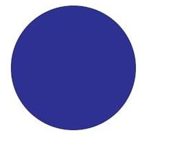 Label, 3/4&quot; Round, Blue Circle Label, 500/Rl
