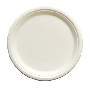 Plates, Paper, 10&quot;, Heavy Weight,Natural, 500/CASE